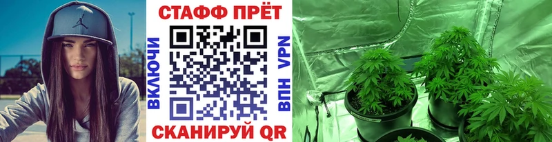 Сколько стоит Каменск-Шахтинский Alpha-PVP  Меф  Гашиш  Каннабис  Кокаин 