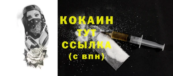 МДПВ Галич