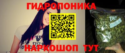 шишки Конаково