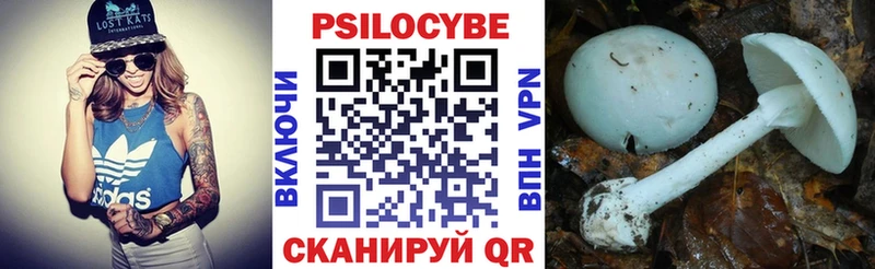 ОМГ ОМГ tor  Каменск-Шахтинский  Псилоцибиновые грибы Cubensis  закладка 